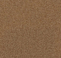 Ковролин Sommer Needlepunch Exposhow Exposhow Medium Beige 9526 фото 1 | FLOORDEALER